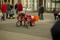 casseler_freyheit_2008_492.jpg